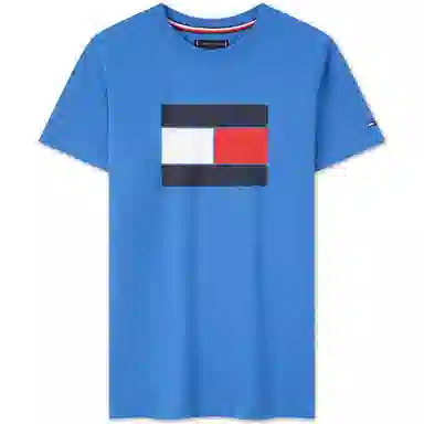 Tommy Hilfiger T