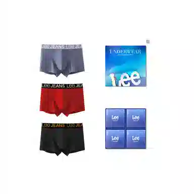Lee 3