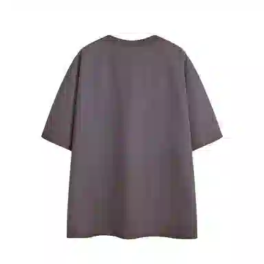 LSVE nasa T