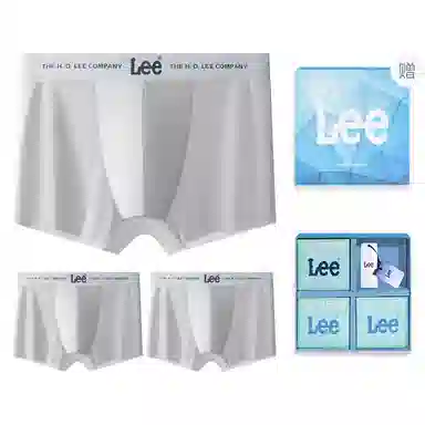 Lee 3