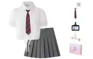 东鲸岁时记 学院风纯色翻领泡泡袖短袖衬衫百褶裙制服 女款 礼盒装