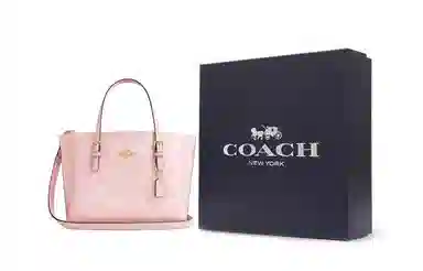 COACH Mollie 25 Tote