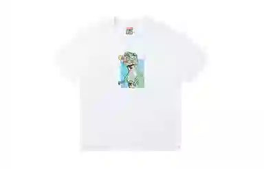 Vision Street Wear T