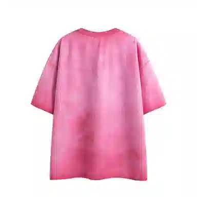 LSVE nasa T