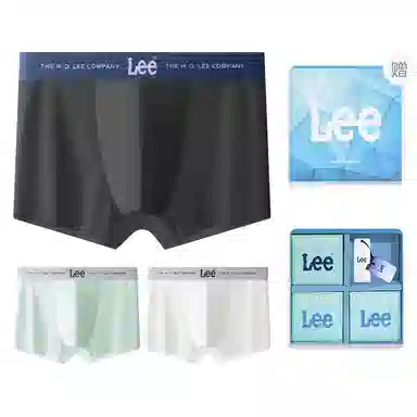 Lee 3
