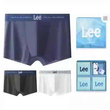 Lee 3