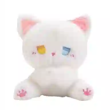 16cm