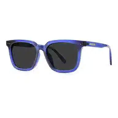 PSACSS TR90