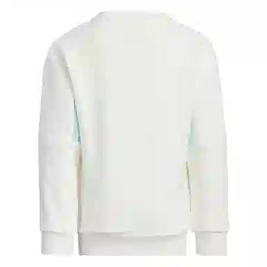 adidas City Escape Graphic Crew Sweater Logo