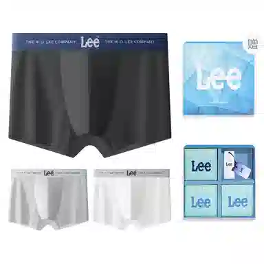 Lee 3
