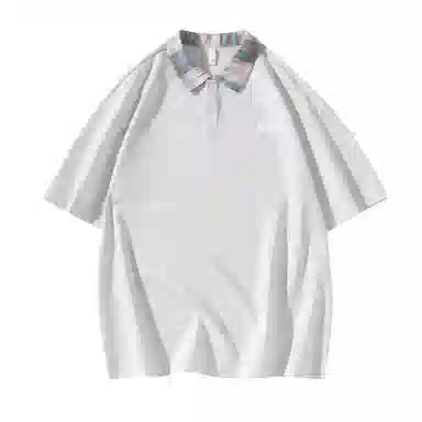 H2P LogoPolo