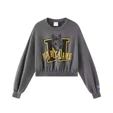 Champion Kids Logo Print Crewneck Long Sleeve T-Shirt