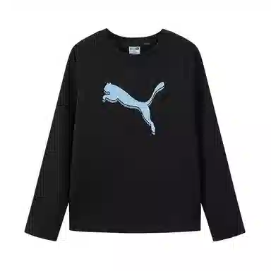 PUMAT PERFORMANCE WiseOry