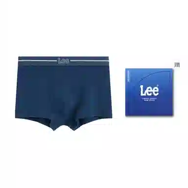 Lee 1