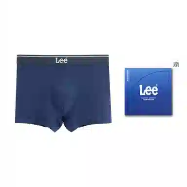 Lee 1