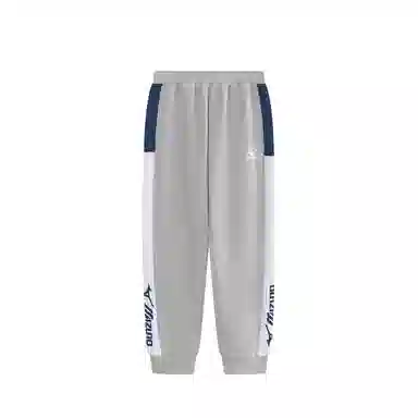 Mizuno