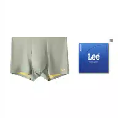 Lee 1