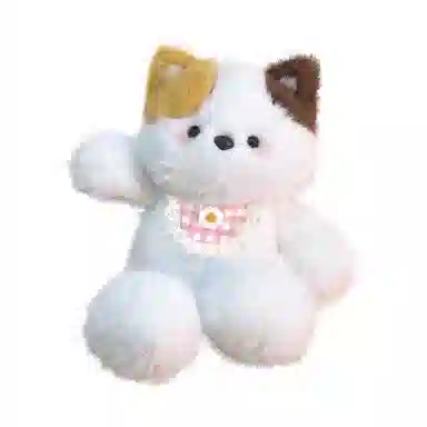 50cm
