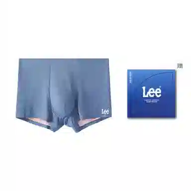Lee 1