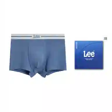 Lee 1