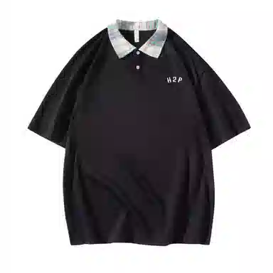 H2P LogoPolo