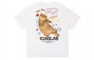 ICONS Lab T