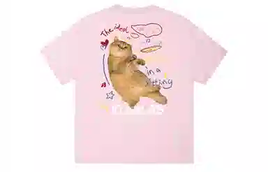 ICONS Lab T