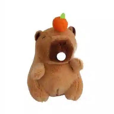 11cm