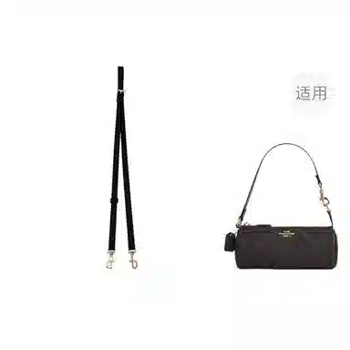 jingxi coach nolita20