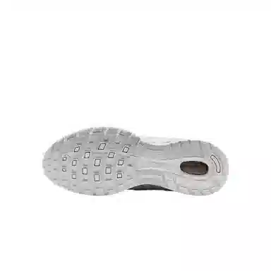 Nike Air Pegasus 2005 SE