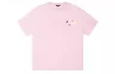 ICONS Lab T