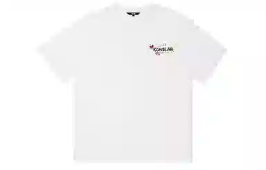 ICONS Lab T