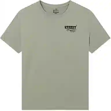 361 T