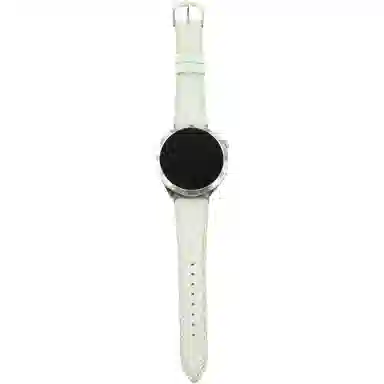 Watch76545pro4classicFE