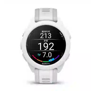 Antey Forerunner165 forerunner965265255garmin165