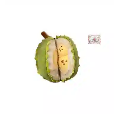 25cm35cm