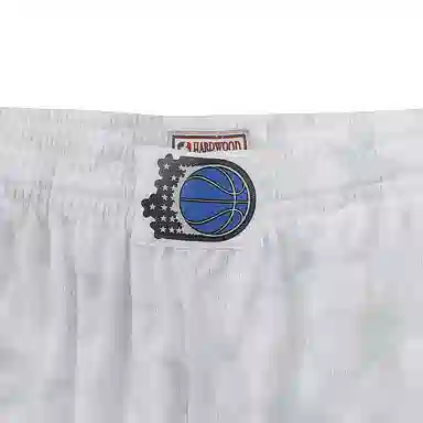 Mitchell Ness x NBA SWINGMAN