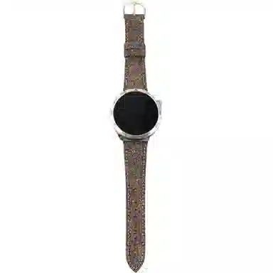 Watch76545pro4classicFE