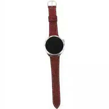 Watch76545pro4classicFE