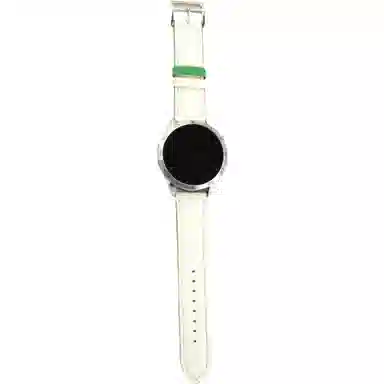 GT5GT4GT2Watch4Prowatchgt5pro