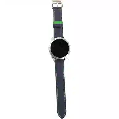 GT5GT4GT2Watch4Prowatchgt5pro
