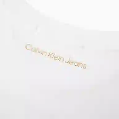 CKCalvin Klein LogoT