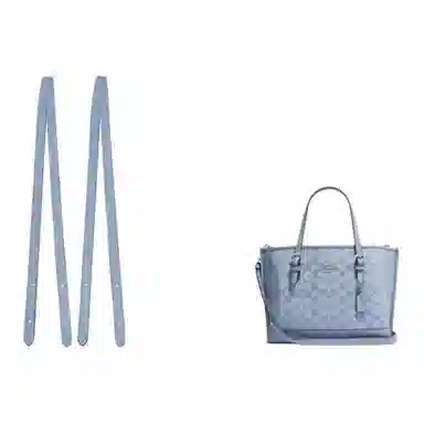 jingxi coachmollie25