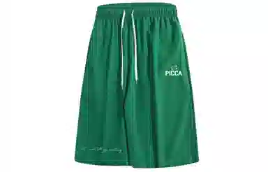Picca logo