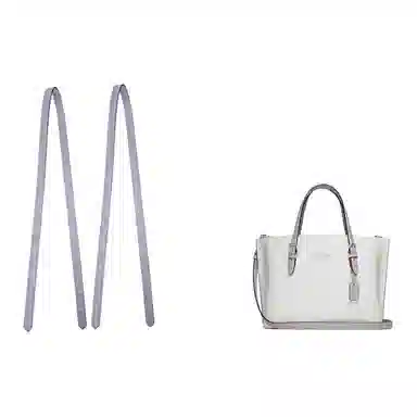 jingxi coachmollie25