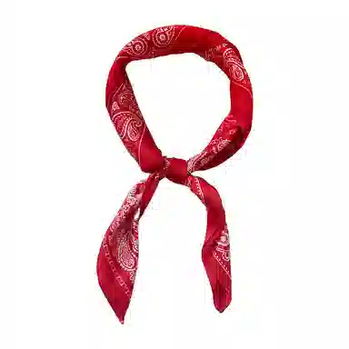 杨同学 高级感潮 丝巾 女款