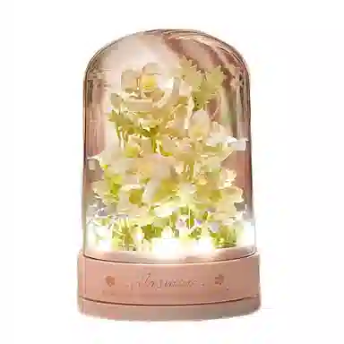 DIY 899699402362pcs QQ