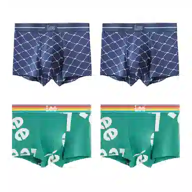Lee 4