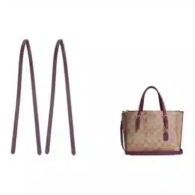 jingxi coachmollie25