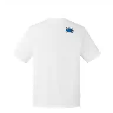 THE NORTH FACE T